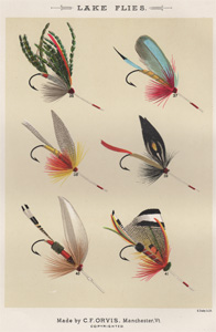 ANTIQUE PRINT OF FISHING FLIES FROM 1892